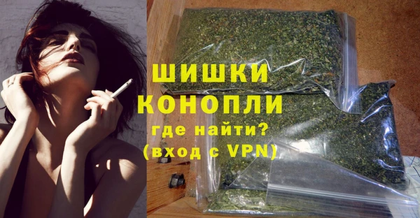 PSILOCYBIN Заволжье