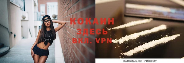 PSILOCYBIN Заволжье