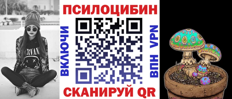 Купить  Берёзовка  Галлюциногенные грибы прущие грибы 