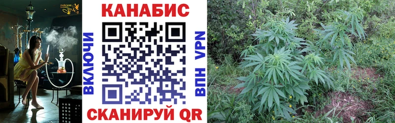 Купить  Берёзовка  Шишки марихуана семена 